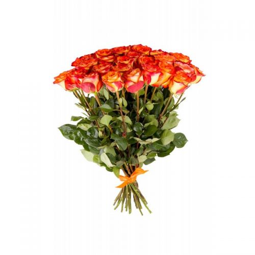 Купить 31-ну оранжевую розу с доставкой по Кокшайску
